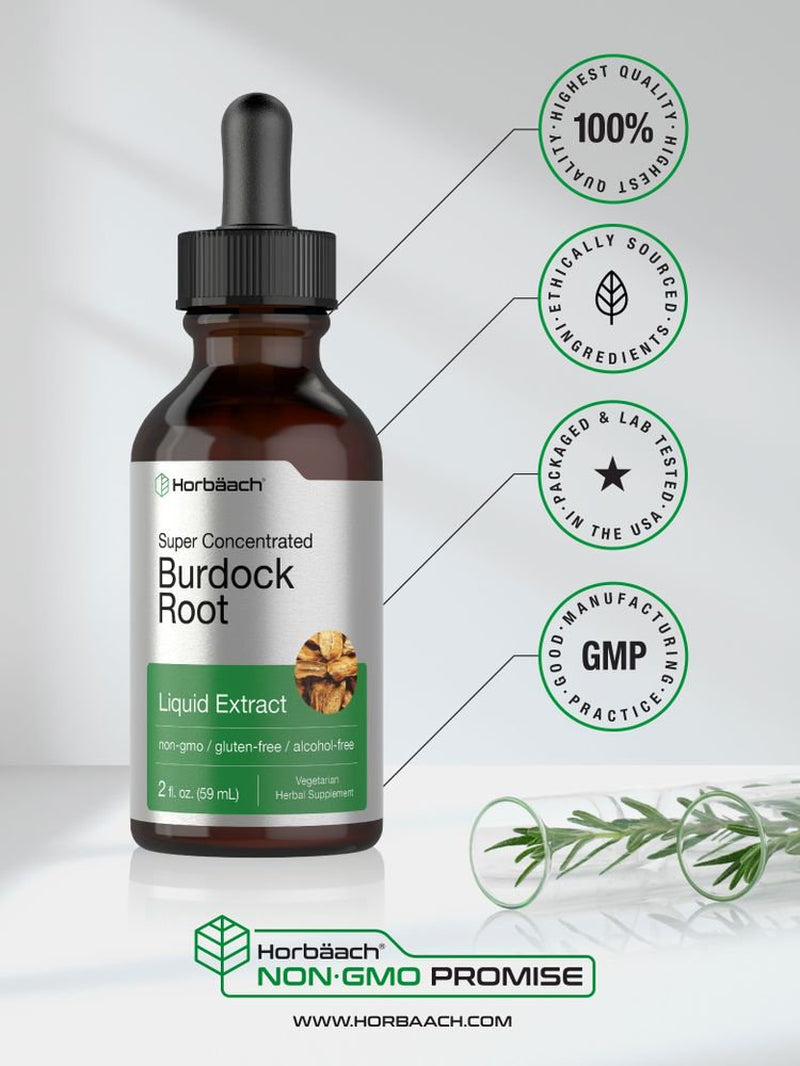 Burdock Root Liquid Extract | 2 Oz | Vegetarian & Alcohol Free | by Horbaach