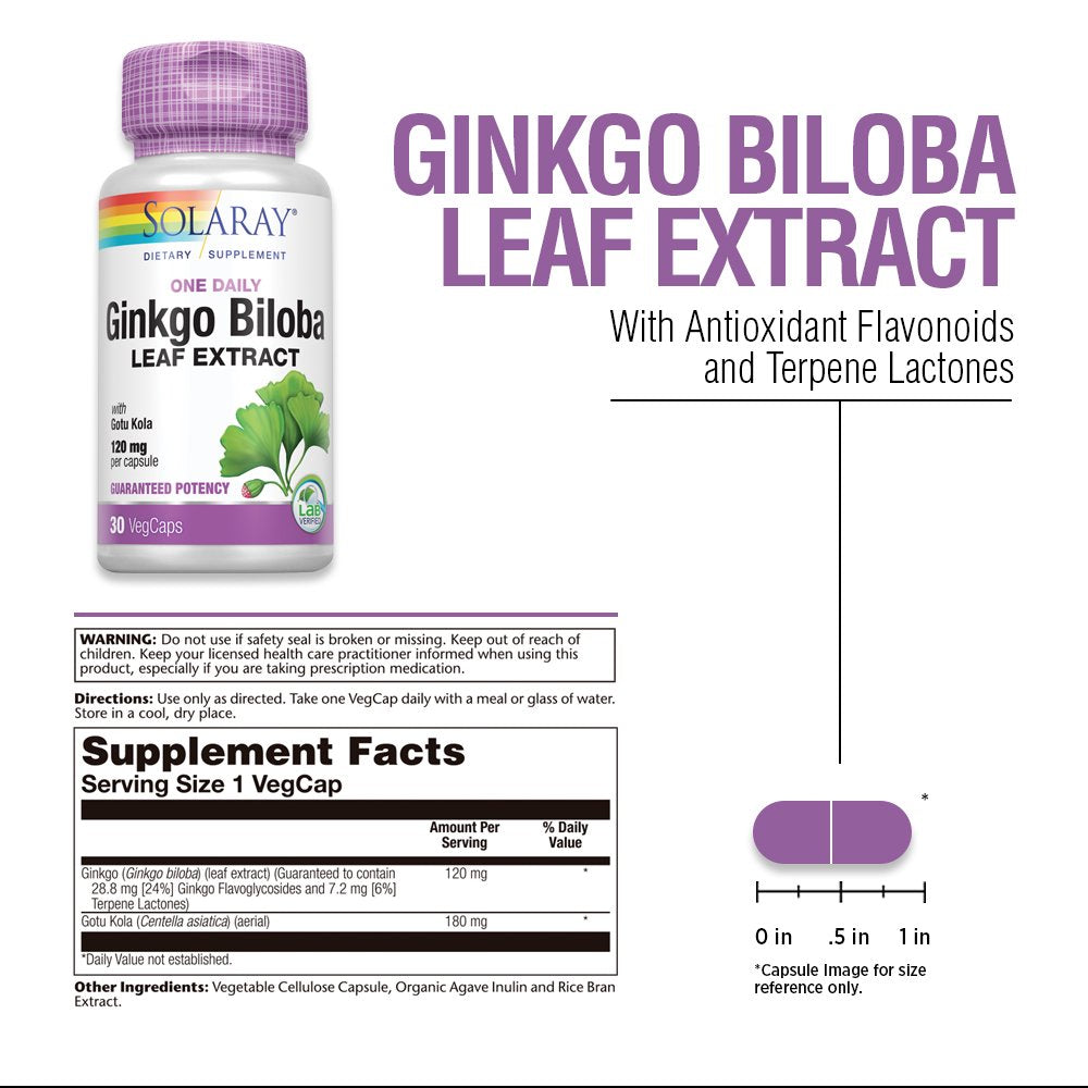 Solaray Guaranteed Potency Ginkgo Biloba Leaf Extract One Daily, Veg Cap (Btl-Plastic) 120Mg | 30Ct