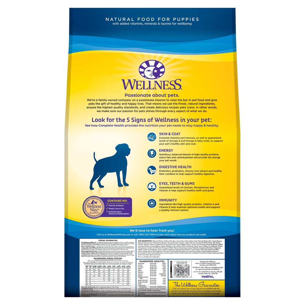 Wellness Complete Health Natural Dry Large Breed Dog Food, Chicken & Rice, 15-Pound Bag