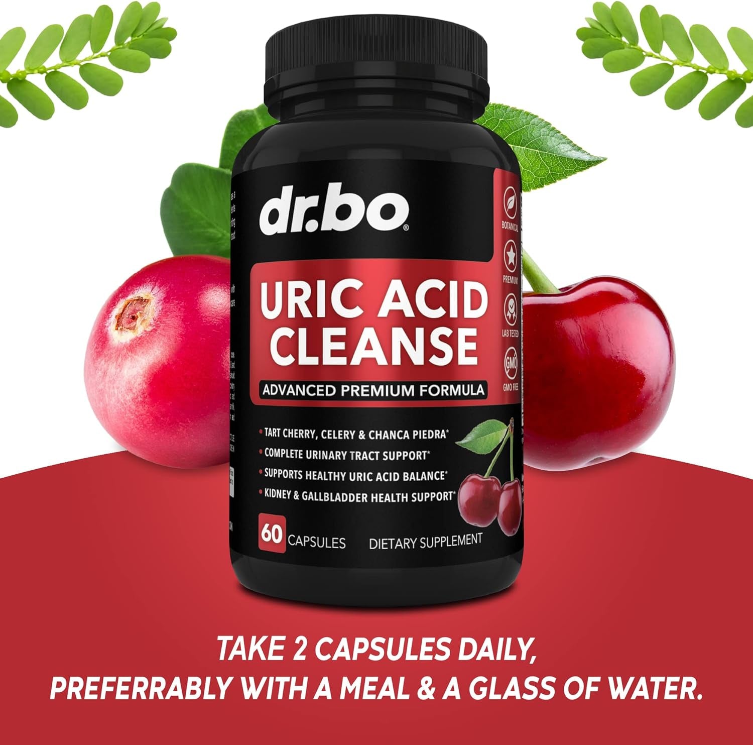 Uric Acid Kidney Colon Detox