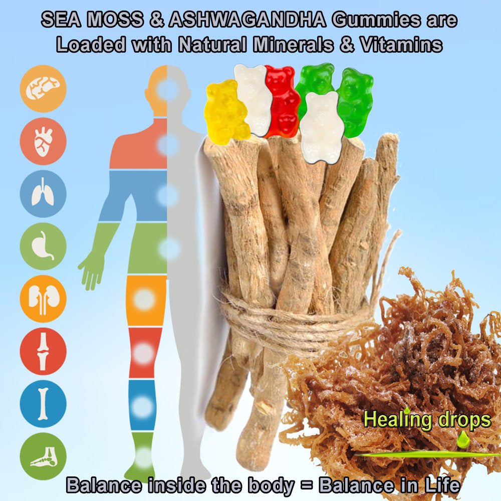 Sea Moss Gummies Ashwagandha with Bladderwrack Burdock Root Alkaline Keto Vegan Non-Gmo Diet by Healing Drops