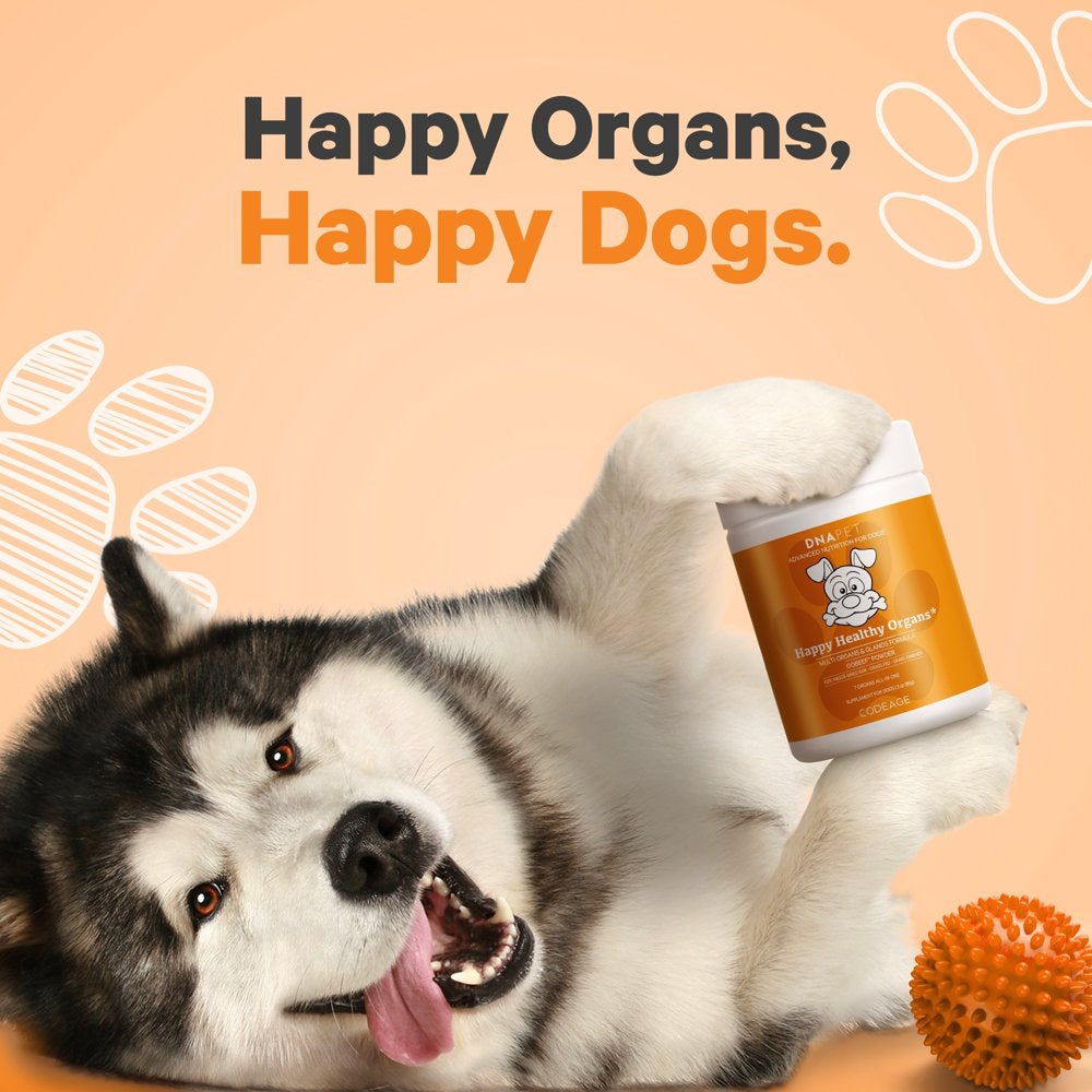 DNA PET Happy Healthy Organs & Glands Supplement for Dogs, Canine Multi Organ Beef Powder, 3 Oz