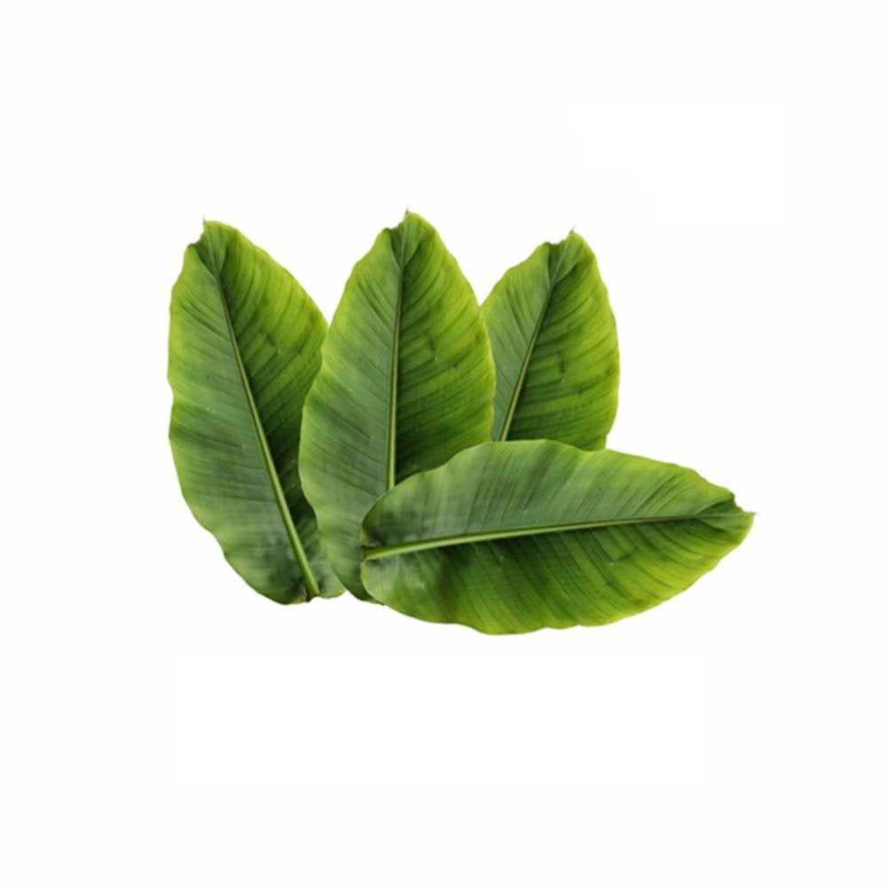 Banaba Leaf Powder 7 Oz (200G) (Lagerstroemia Speciosa), Good for Diabetes | Natural Antioxidants Supplement, Anti- Diabetic Superfood | Bixa Botanical