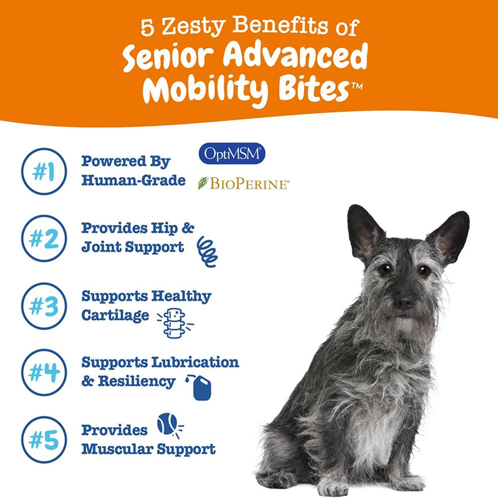 Zesty Paws Senior Advanced Hip & Joint Mobility Bites for Dogs, Glucosamine, Chondroitin, and Omega-3 Fatty Acids for Age 7+, Chicken Flavor, 60 Count Soft Chews