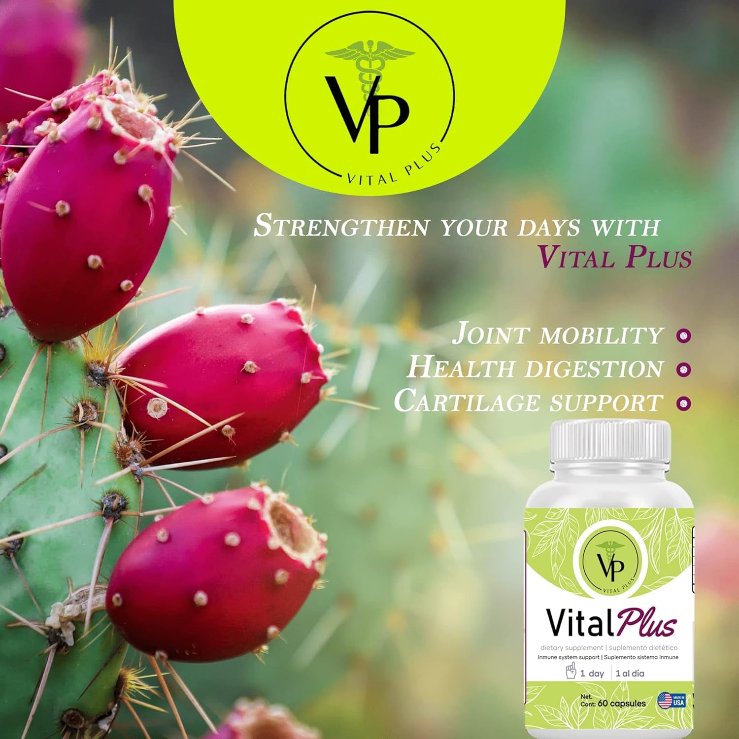 Vital plus - Treatment for Varicose Veins and Support Joint Structure - Energy Supplement - 100% Organic 60 Capsules