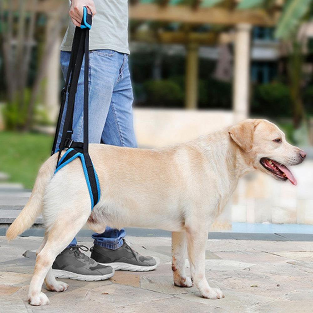 Dog Lift Harness, Dog Lift Support Harness for Weak Rear Legs, Veterinarian Approved Dog Handicap Harness Help for Small Medium Large Dogs, Adjustable Straps for Old, Disabled, Joint Injuries