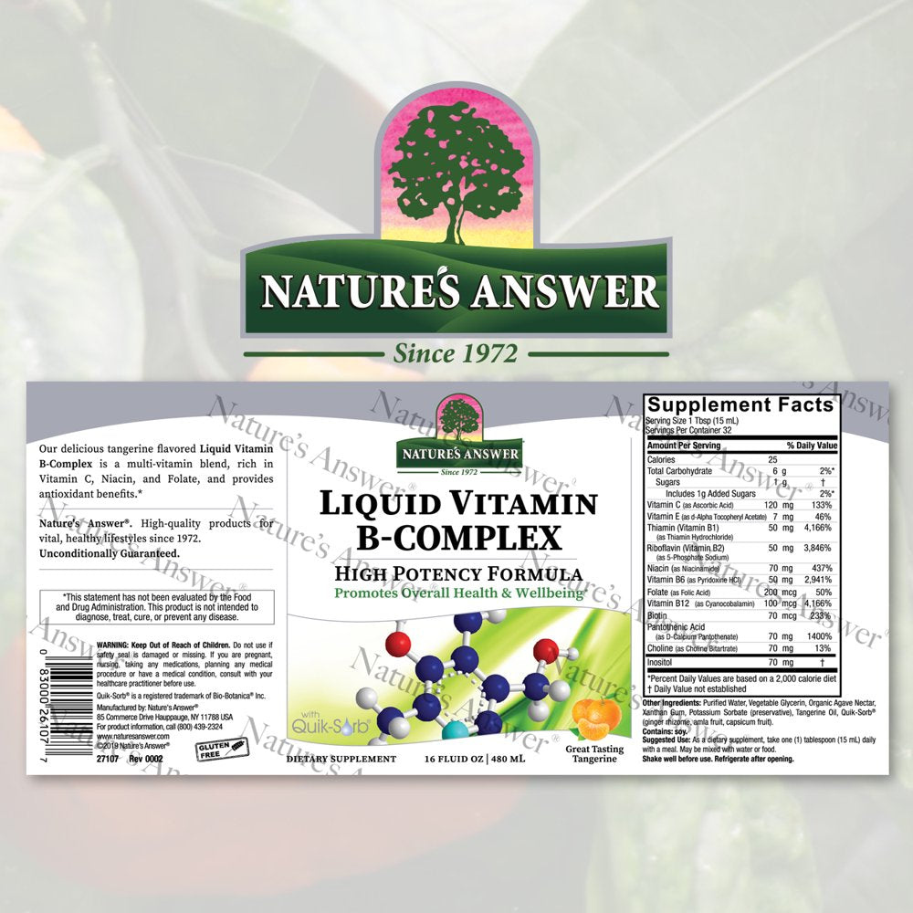 Vitamin B Complex Liquid 16Oz