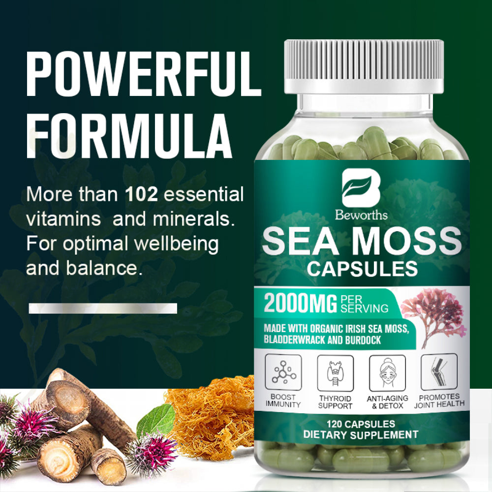 BEWORTHS Organic Sea Moss Capsules 2000Mg with Burdock Root, Irish Moss and Bladderwrack for Joint Health Support & Thyroid Supplement