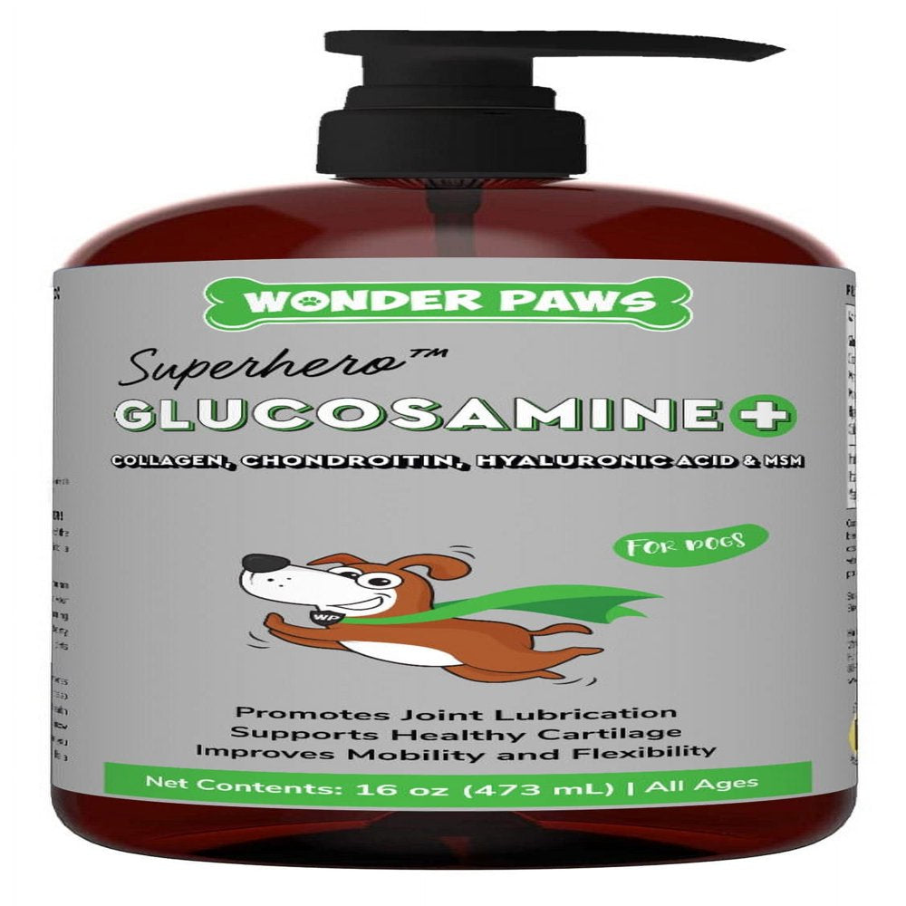 Premium Liquid Glucosamine for Dogs - Hip & Joint Supplement with Chondroitin, MSM, Collagen & Hyaluronic Acid - All Ages (16 Oz)