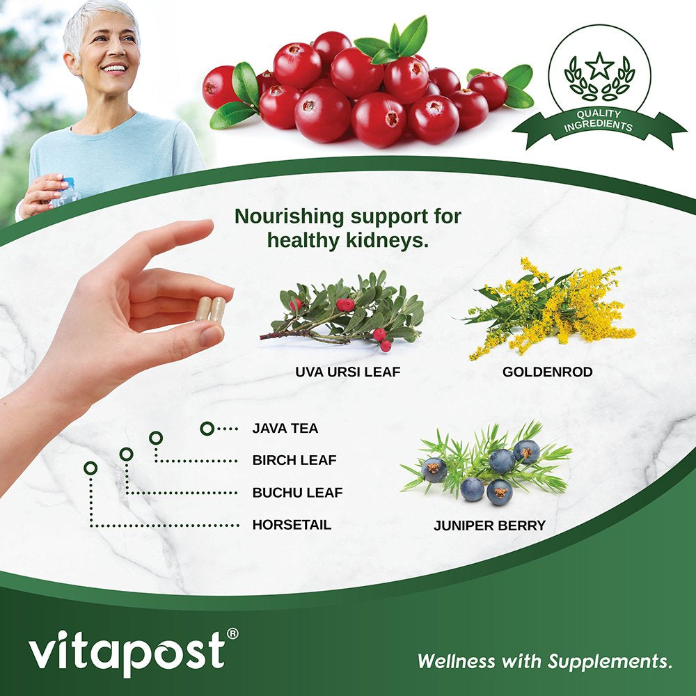 Vitapost Kidney Support Supplement with Cranberry, Uva Ursi, Astragalus - 60 Capsules