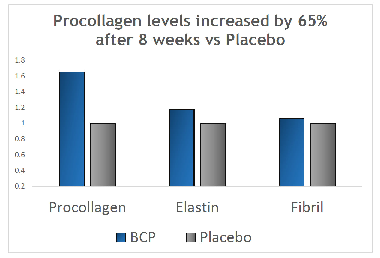 Besha Collagen - Verisol Collagen Bioactive Peptides (Natural Collagen Powder) Made in Germany