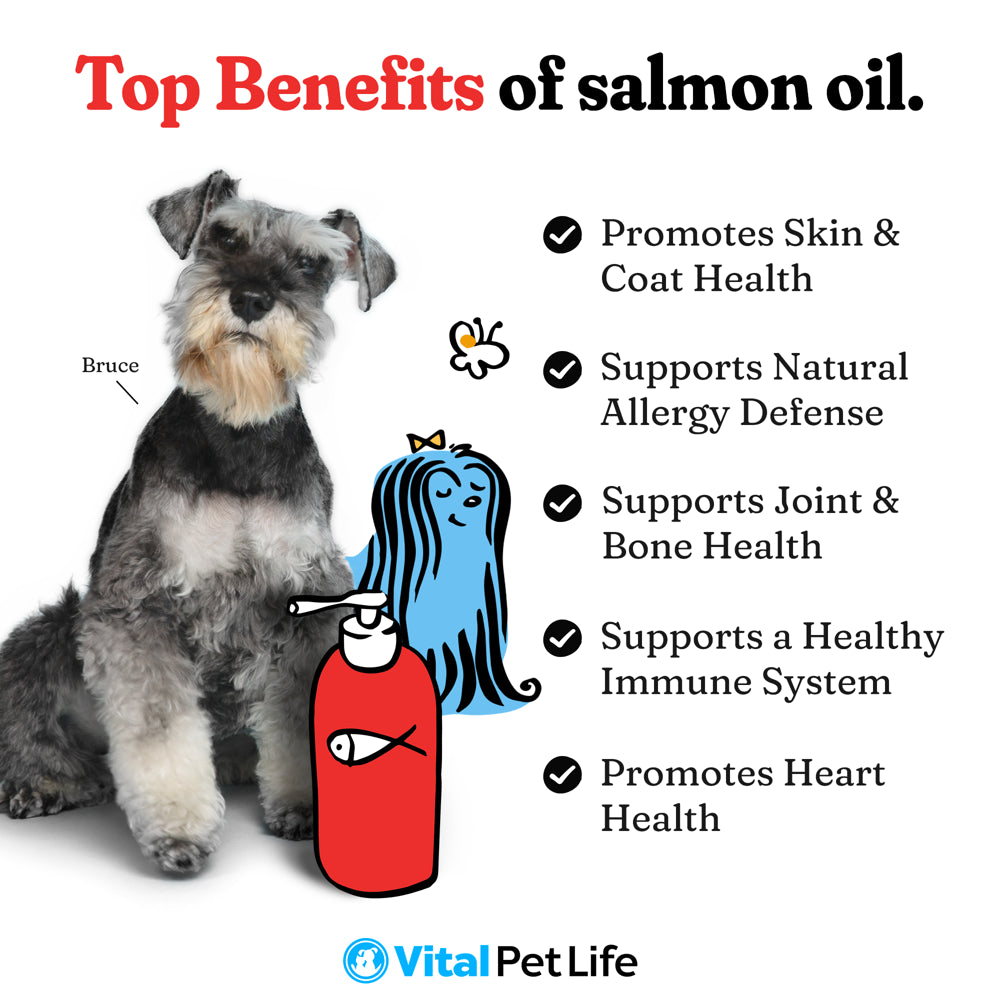 Vital Pet Life Salmon Oil for Dogs and Cats, Wild Alaskan Supports Healthy Skin Coat and Joints, Natural Allergy and Inflammation Defense, 8 Oz.