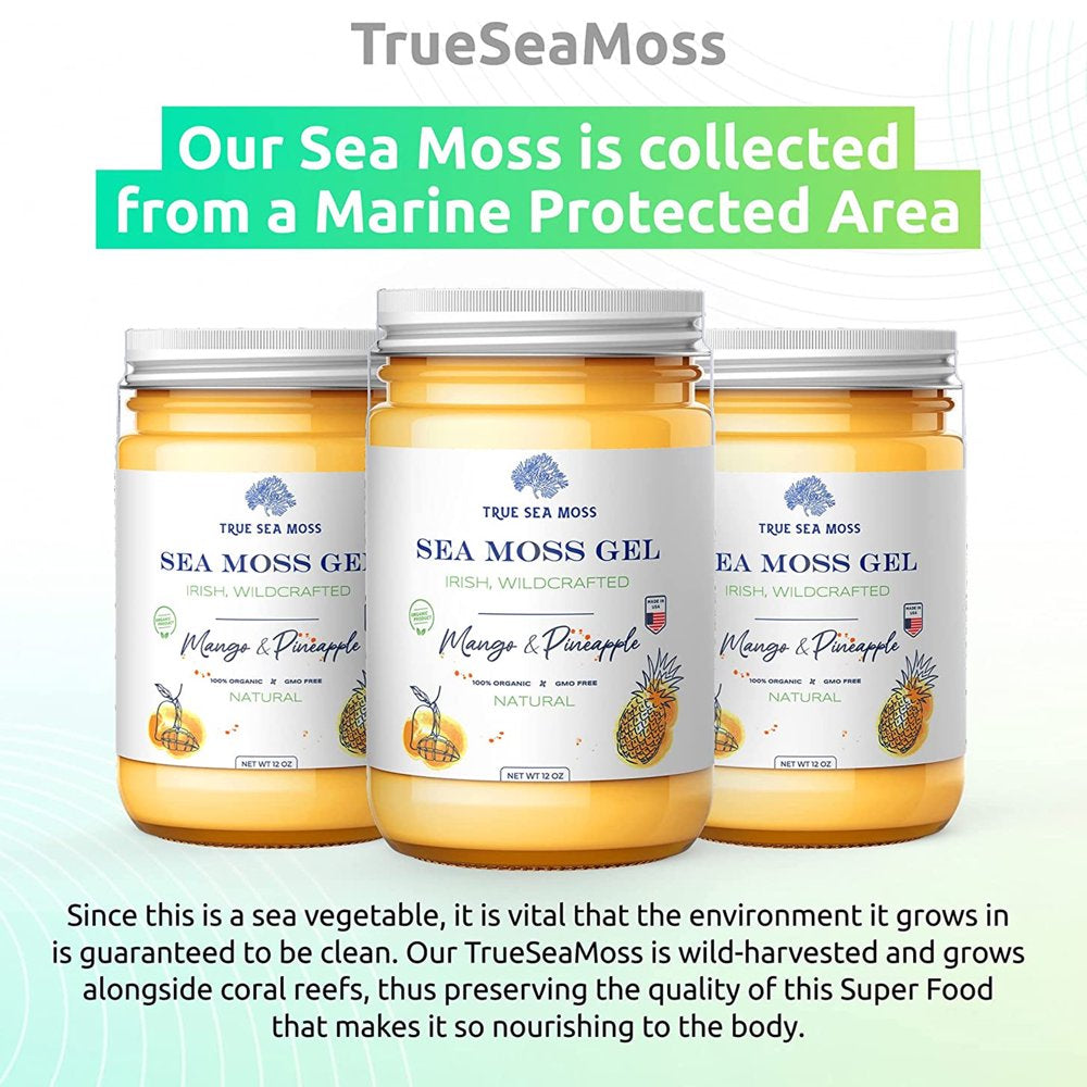 Trueseamoss Wildcrafted Irish Sea Moss Gel – Nutritious Raw Seamoss Rich in Minerals, Proteins & Vitamins – Antioxidant Health Supplement, Vegan-Friendly Made in USA (Mango/Pineapple, 1)