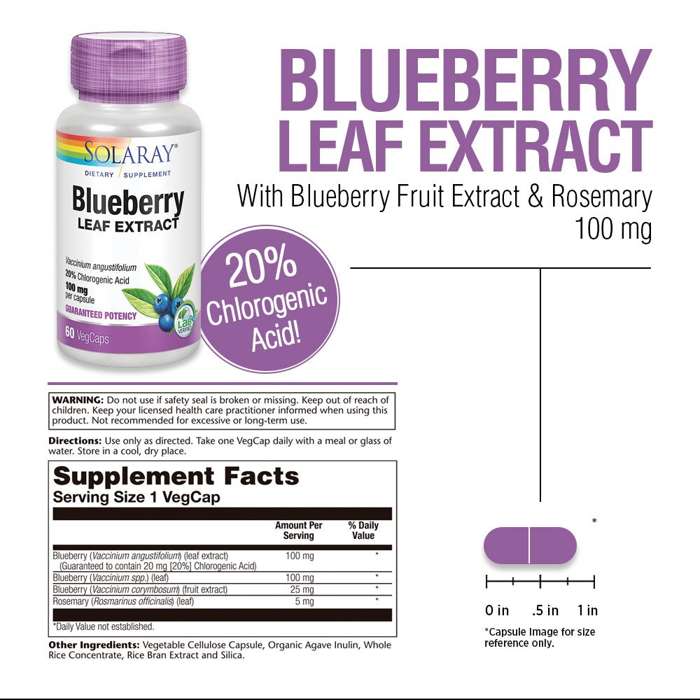 Solaray Blueberry Leaf Extract 100 Mg | Healthy Cardiovascular & Blood Sugar Balance Support | 60 Vegcaps