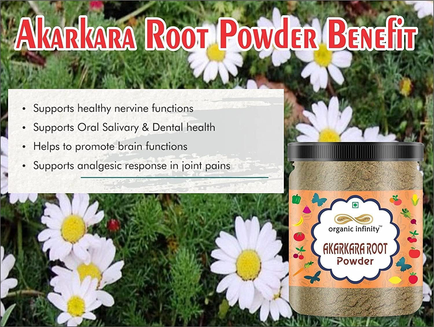 Admart Organic Infinity Akarkara Root Powder | Anacyclus Pyrethrum | Pellitory Root Powder- 500 GM by Organic Infinity