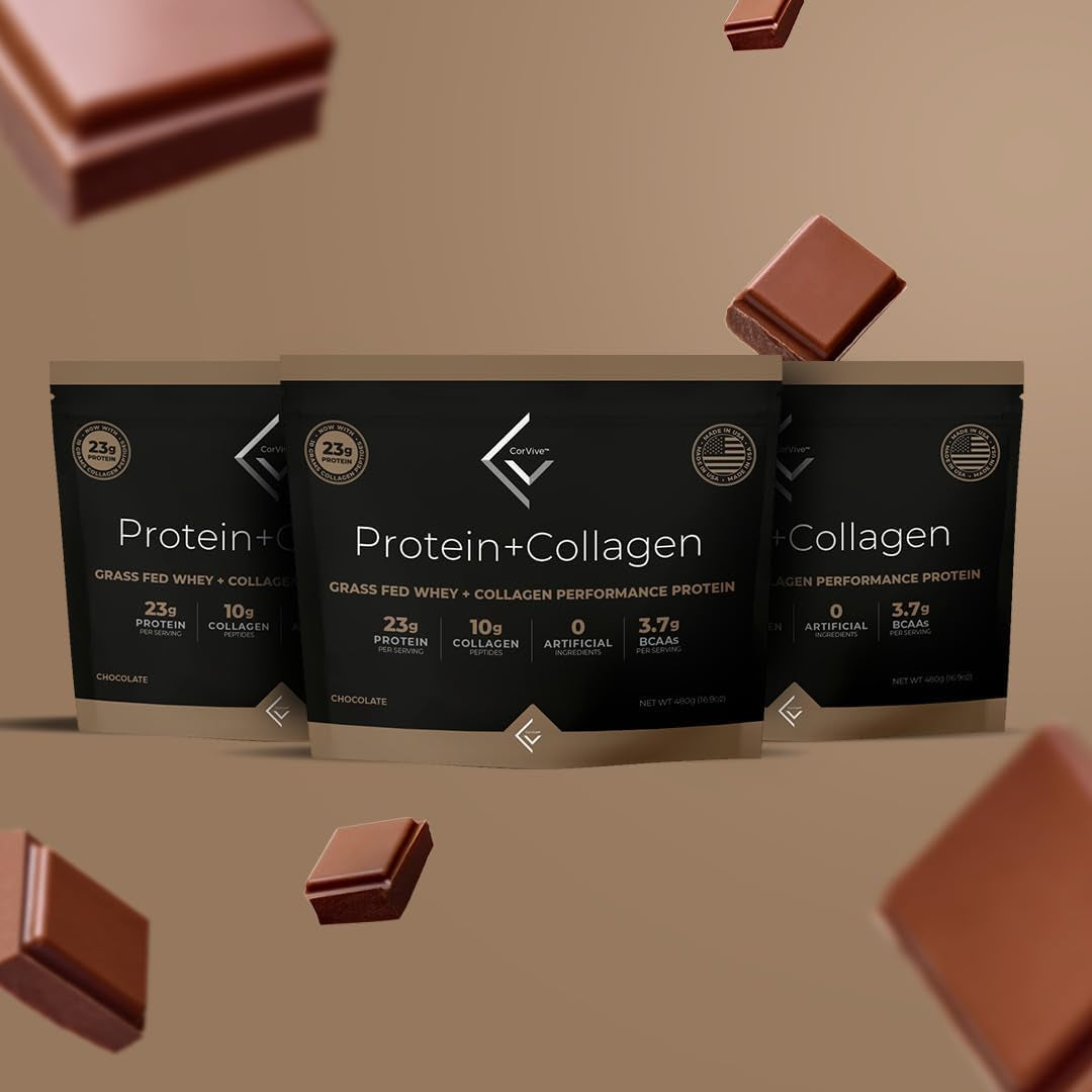 Corvive Protein + Collagen Chocolate Performance Protein | Grass Fed Whey + Collagen | 480 Grams (Pack of 15)