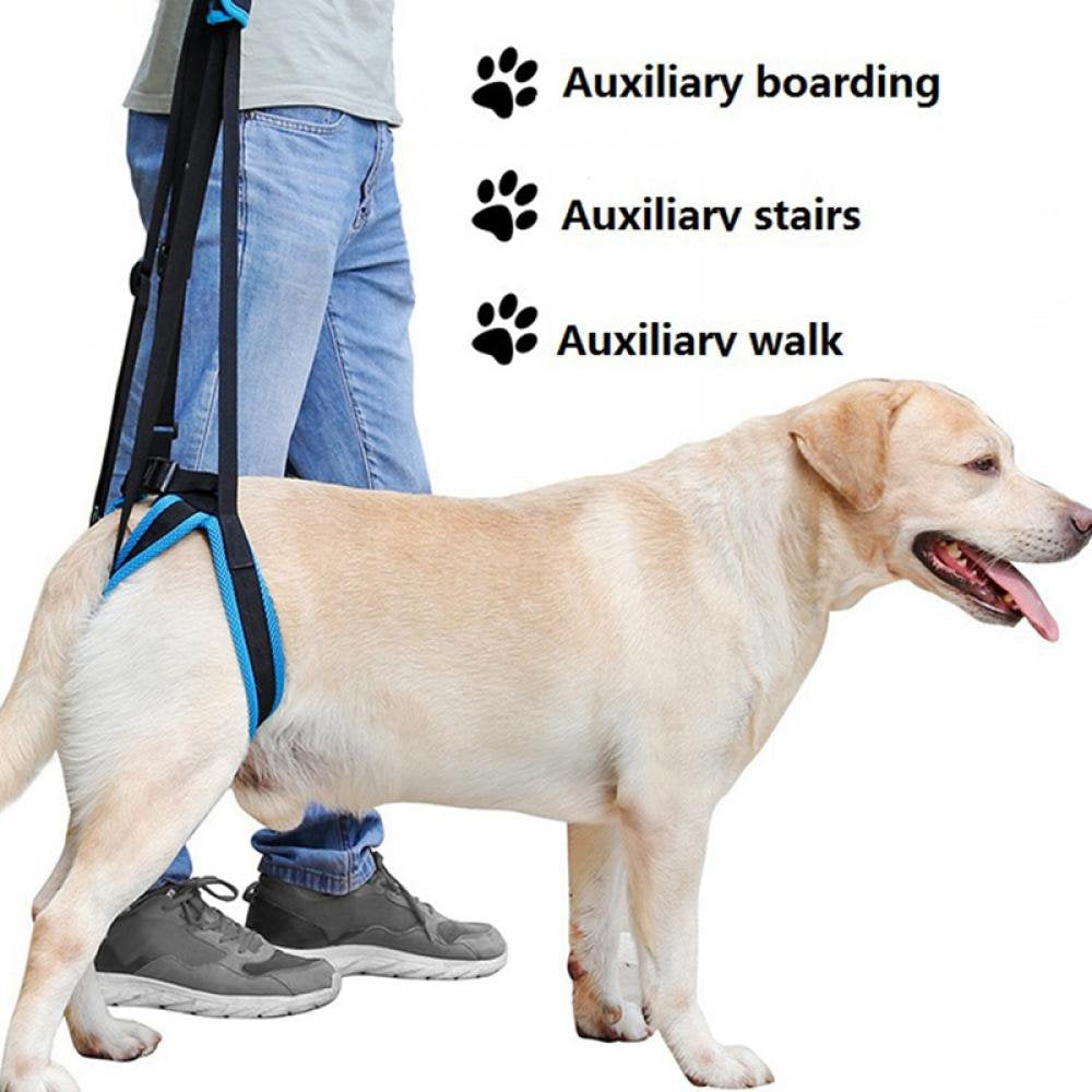 Dog Lift Harness, Dog Lift Support Harness for Weak Rear Legs, Veterinarian Approved Dog Handicap Harness Help for Small Medium Large Dogs, Adjustable Straps for Old, Disabled, Joint Injuries