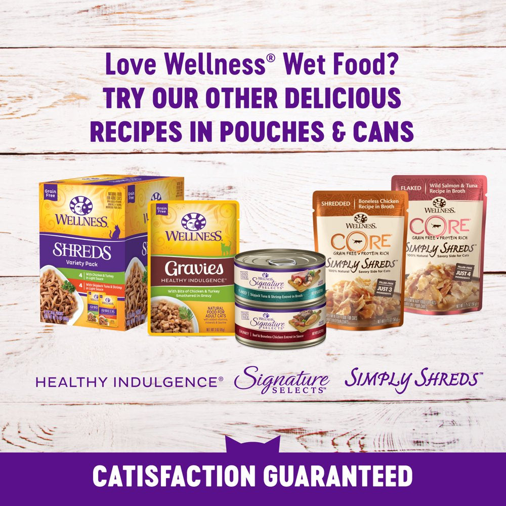 Wellness Complete Health Grain Free Canned Cat Food, Chicken Pate, 5.5 Ounces (Pack of 24)