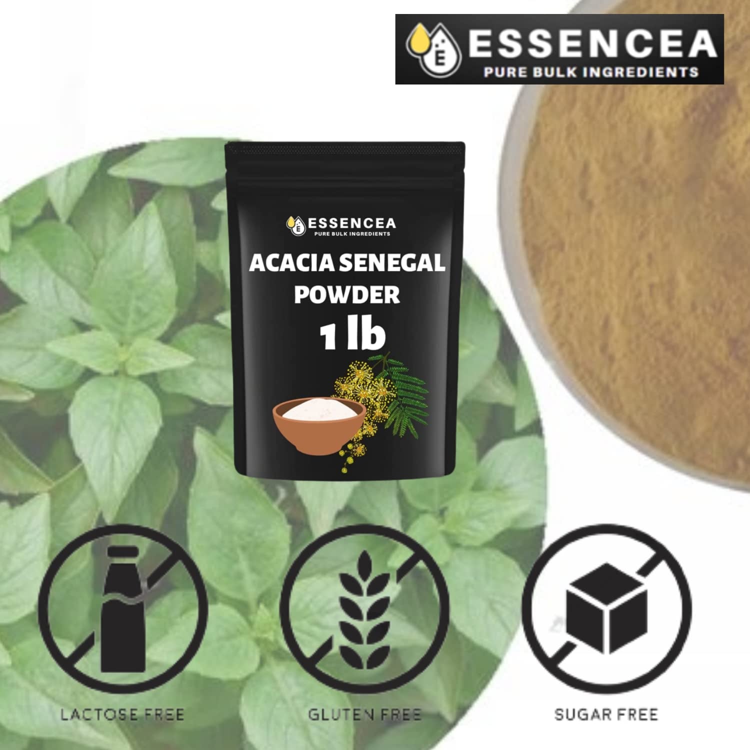 Acacia Senegal Powder 1Lb by Essencea Pure Bulk Ingredients | Rich in Fiber | Soluble Fiber Powder | Non GMO and Gluten Free (16 Ounces)