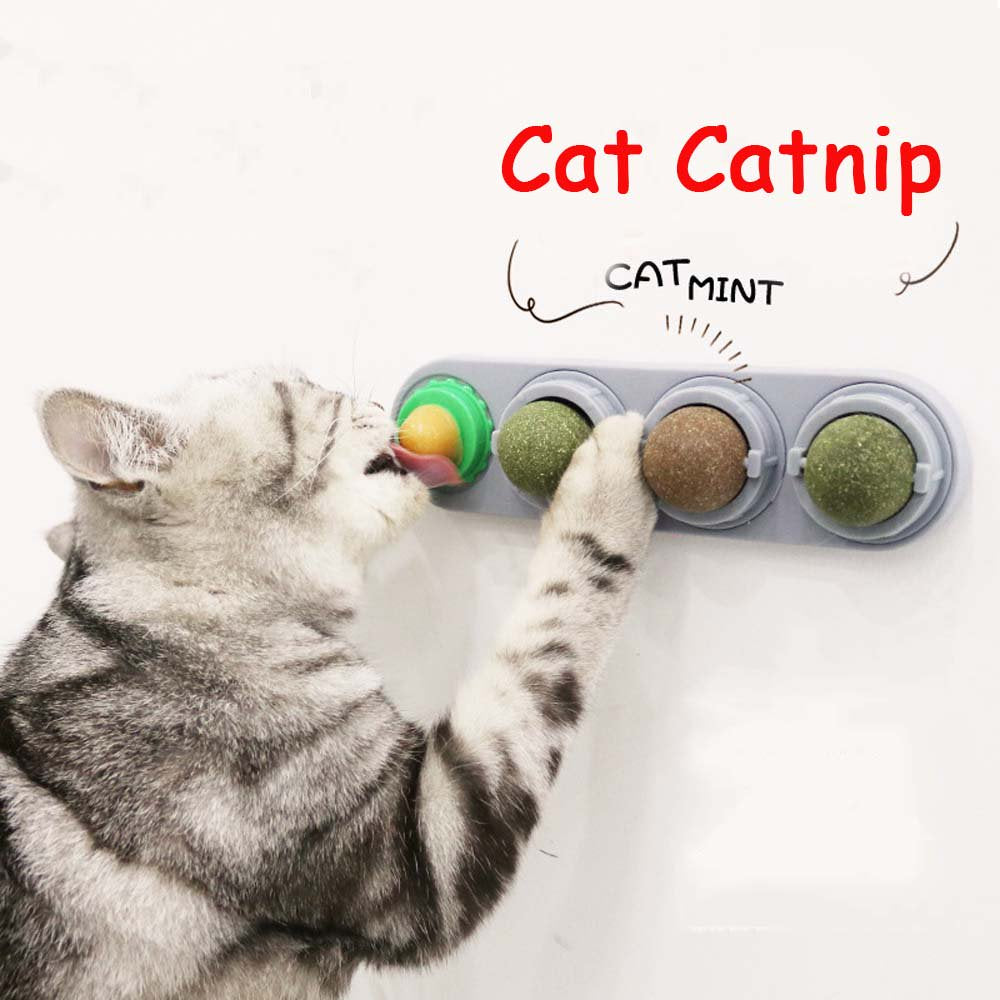 Pure Natural Healthy Nutrition Chew Ball Edible Cat Supplies Cat Snacks Cat Toys Molar Catnip Balls