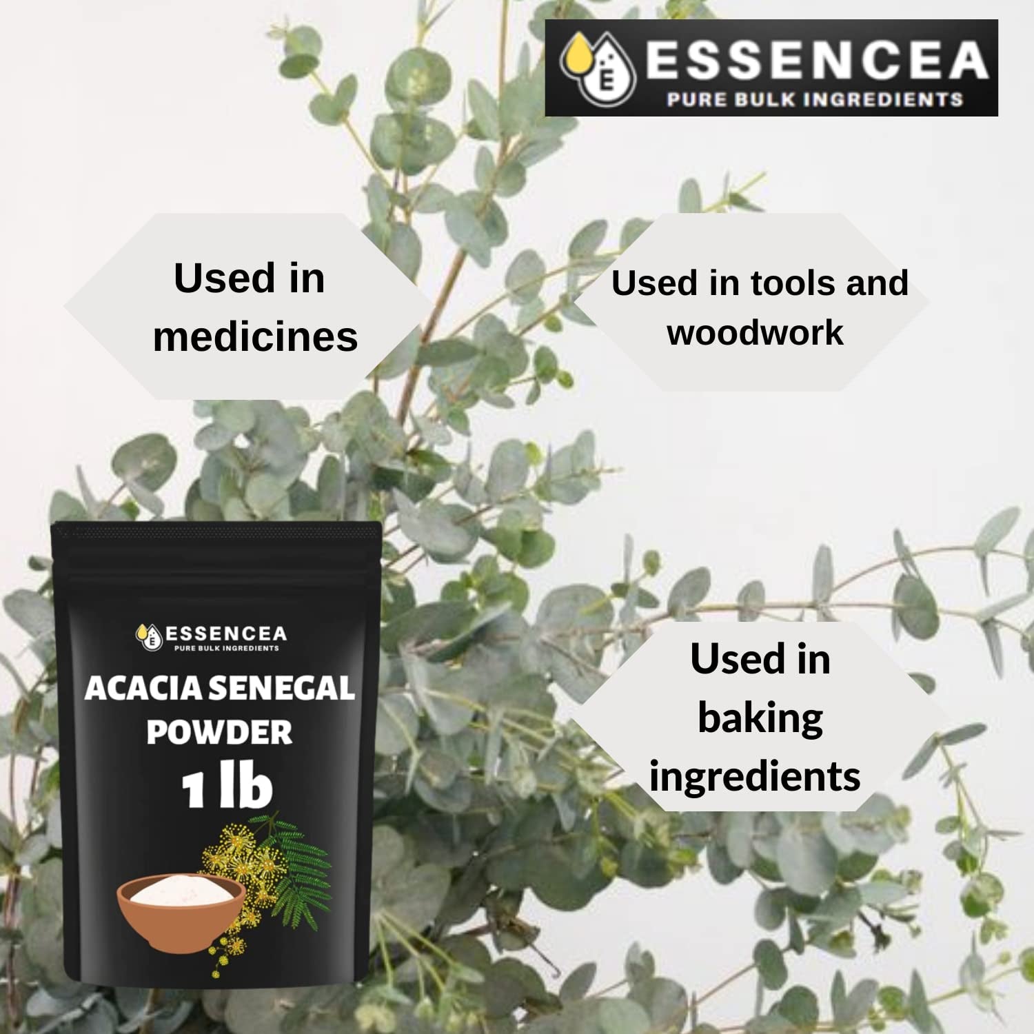 Acacia Senegal Powder 1Lb by Essencea Pure Bulk Ingredients | Rich in Fiber | Soluble Fiber Powder | Non GMO and Gluten Free (16 Ounces)