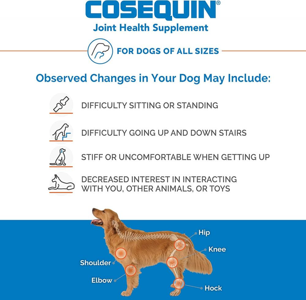 Cosequin DS Chewable Tablets with Glucosamine & Chondroitin 132Ct