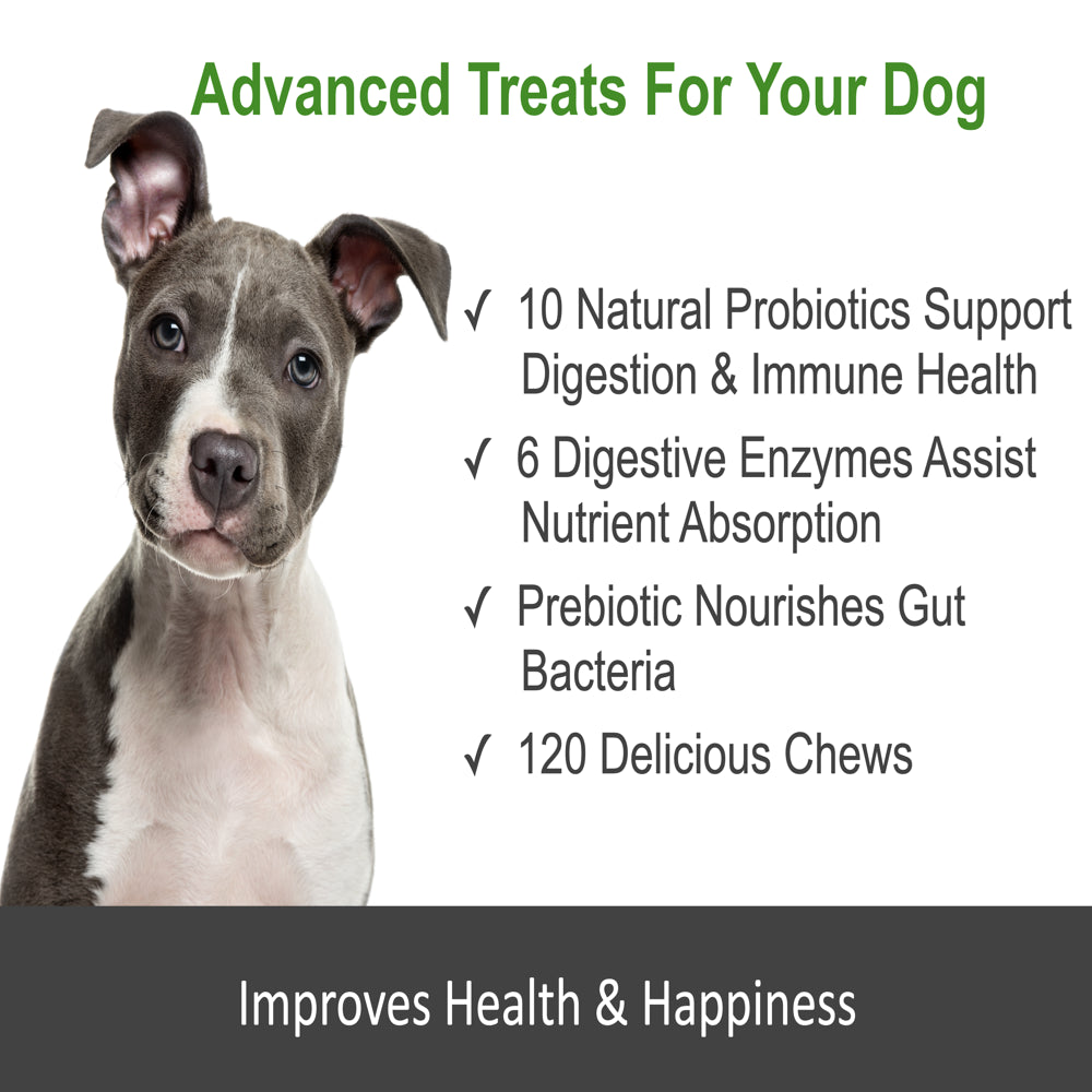 Tummyworks Probiotic Chews for Dogs. Relieves Diarrhea, Upset Stomach, Gas & Bad Breath, Itching, Allergies & Yeast Infections. Supplement with Digestive Enzymes & Prebiotics. Made in USA 120 Count