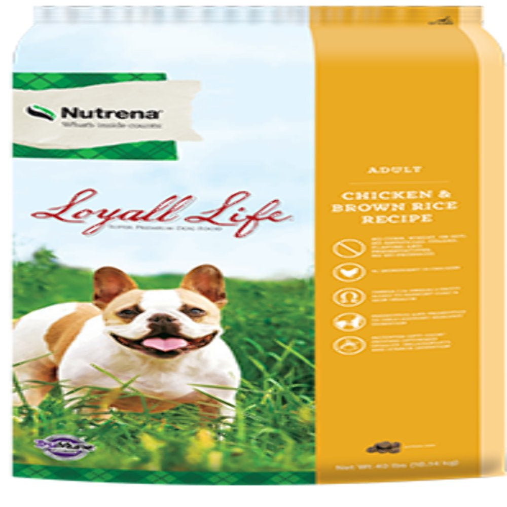 Loyall Life Adult Chicken Rice Dog Food