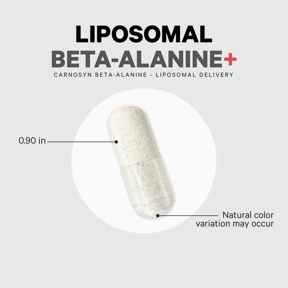 Codeage Liposomal Beta-Alanine Supplement, Carnosyn Beta Alanine 1600 Mg, Amino Acid Sports, 180 Ct