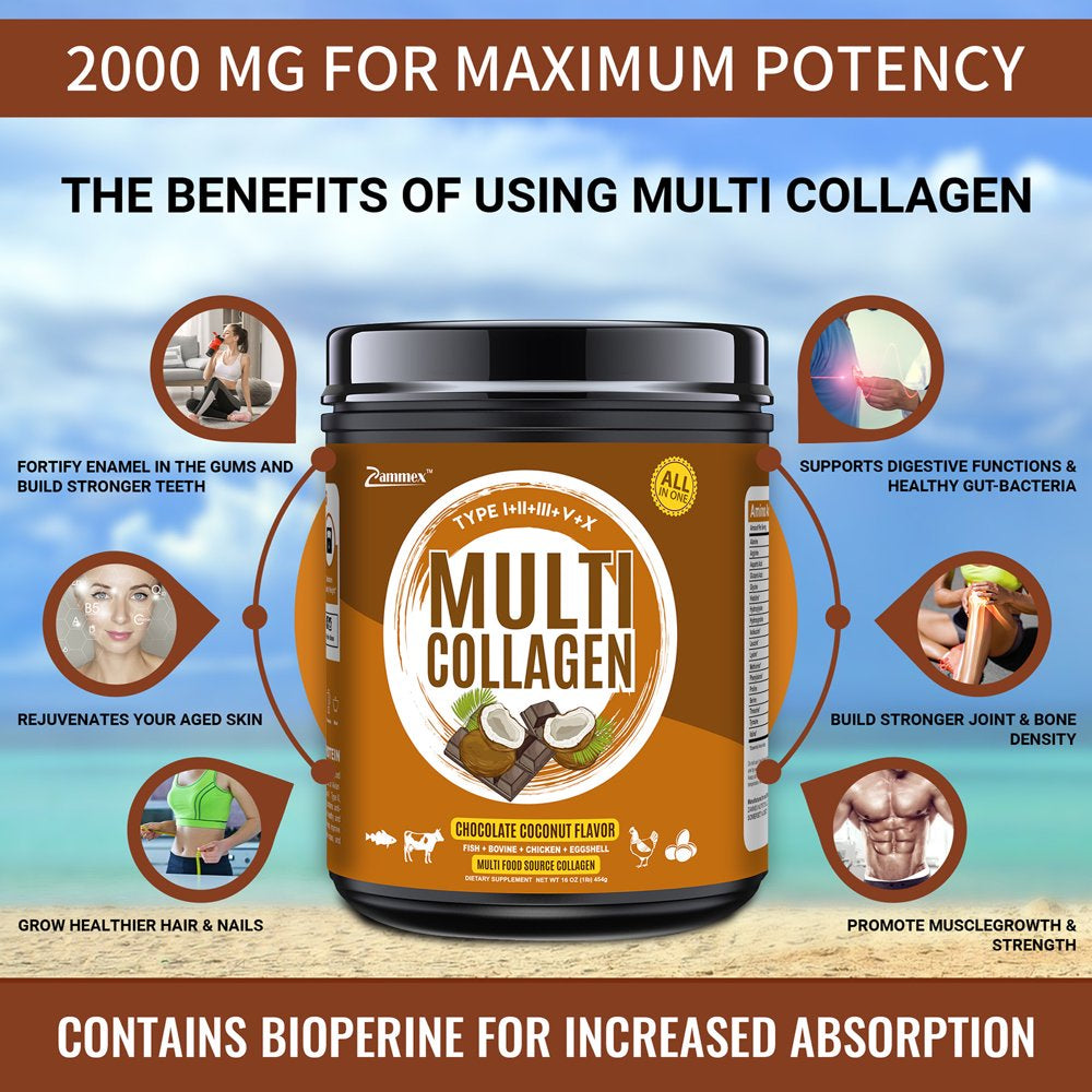 Zammex Multi Collagen Peptides Powder 16Oz, Hydrolyzed Collagen Protein Types I,II,III,V,X, Chocolate Coconut Flavor, 41 Servings