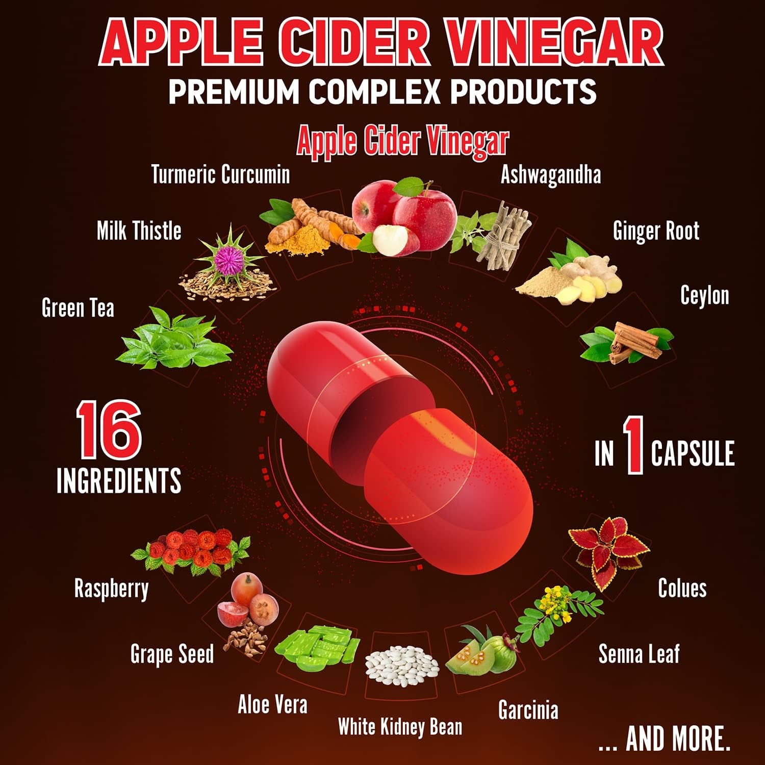 16 in 1 Apple Cider Vinegar Capsules, Equivalent to 14500Mg, with Turmeric, Cinnamon, Milk Thistle, Garcinia Cambogia, Quercetin, Best Supplement for Keto, Detox & Weight Management (120 Capsules)