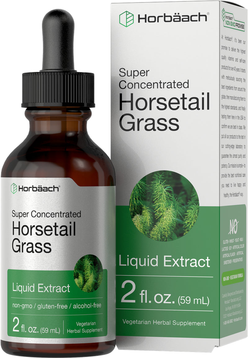 Horsetail Herb Liquid Extract | 2 Oz | Vegetarian & Alcohol Free | by Horbaach