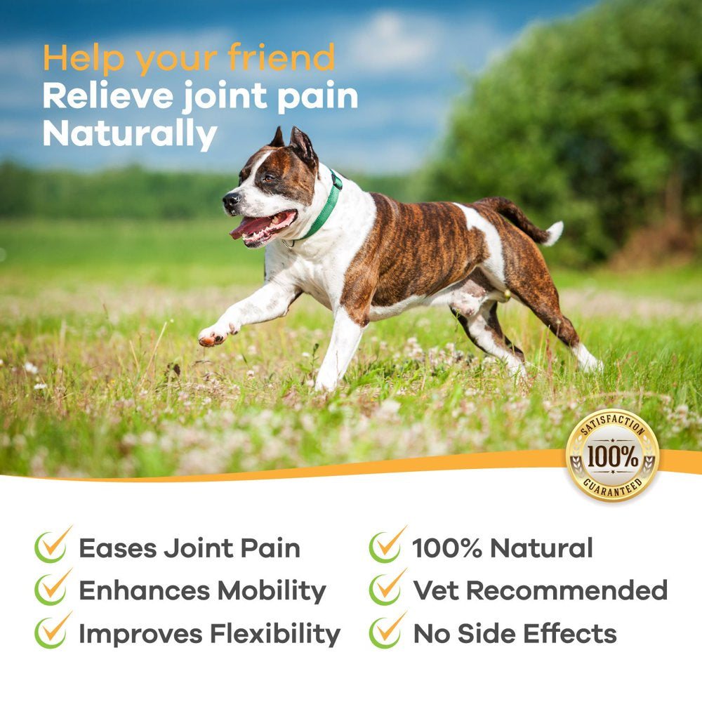 POINTPET Hip and Joint Supplement with Glucosamine & MSM for Dogs, 120 Soft Chews