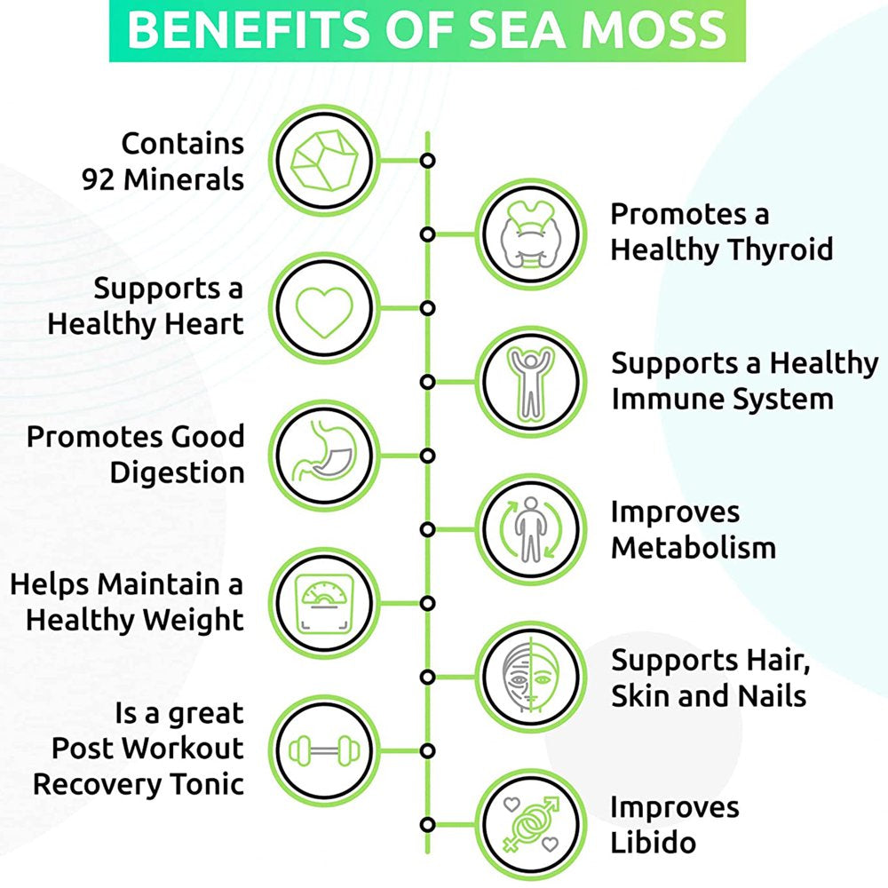 Trueseamoss Wildcrafted Irish Sea Moss Gel – Nutritious Raw Seamoss Rich in Minerals, Proteins & Vitamins – Antioxidant Health Supplement, Vegan-Friendly Made in USA (Apple, 4)