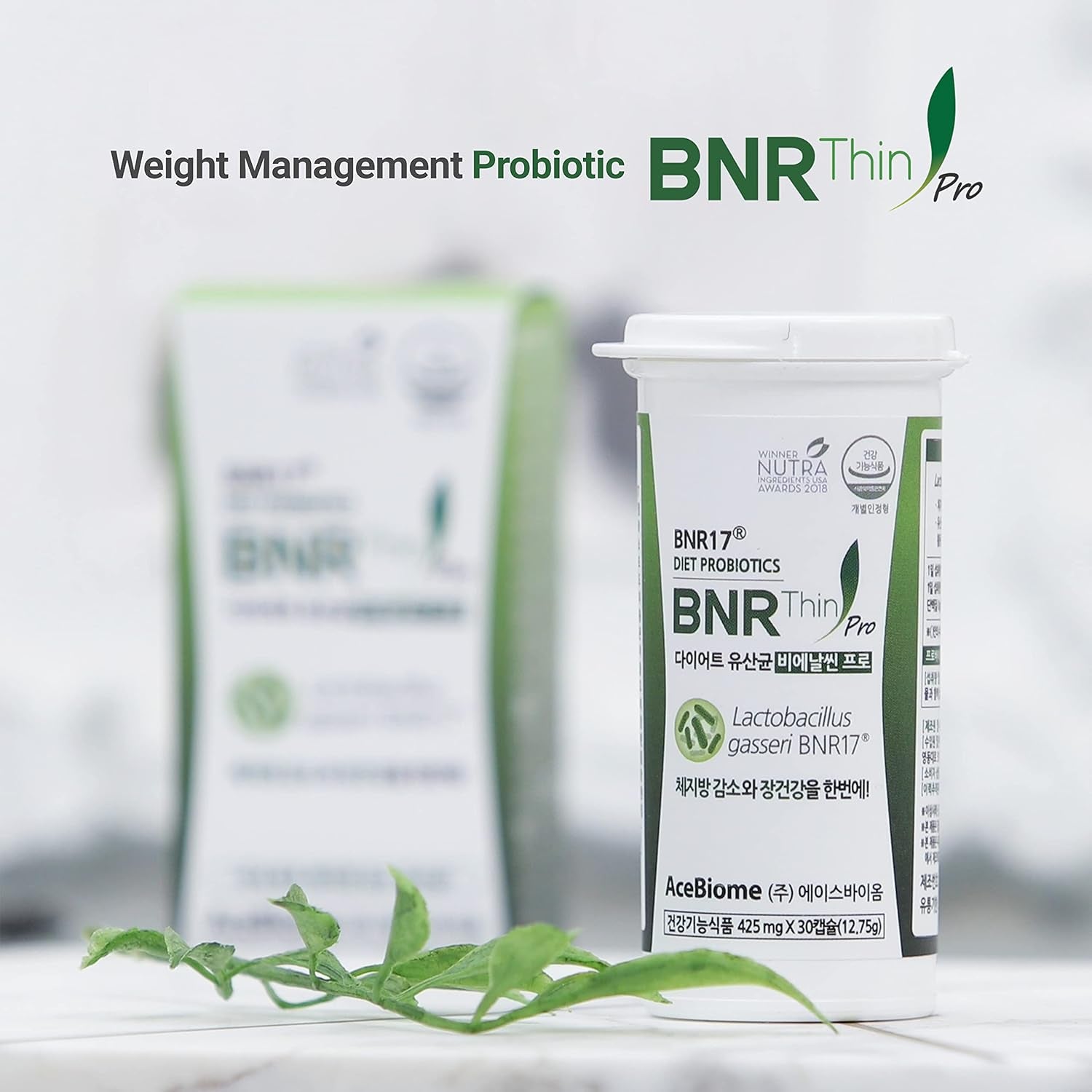 Bnrthin Pro Probiotic, Lactobacillus Gasseri BNR17, 10 Billion CFU Guaranteed, Digestive Health, 30 Capsules