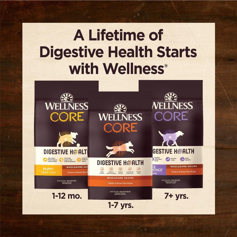 Wellness CORE Digestive Health Dry Puppy Food with Grains, 24 Pound Bag , Chicken Dog Food, Sensitive Stomach