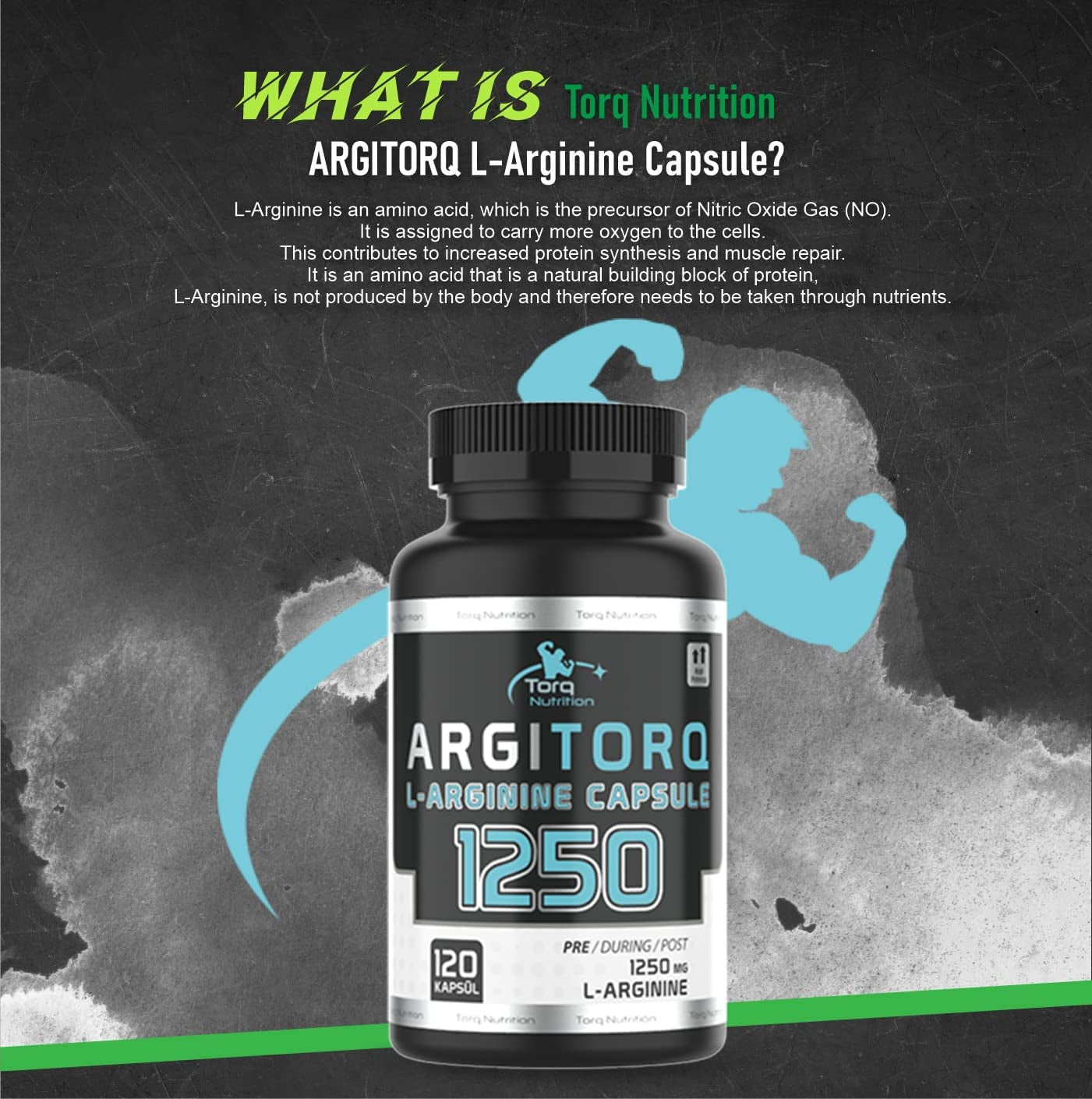 Torq Nutrition ARGITORQ L Arginine Supplement 1250Mg (120 Capsules) Amino Acid Nutritional Supplements, Muscle Performance Strength & Endurance, Nitric Oxide Booster for Increasing Protein Synthesis