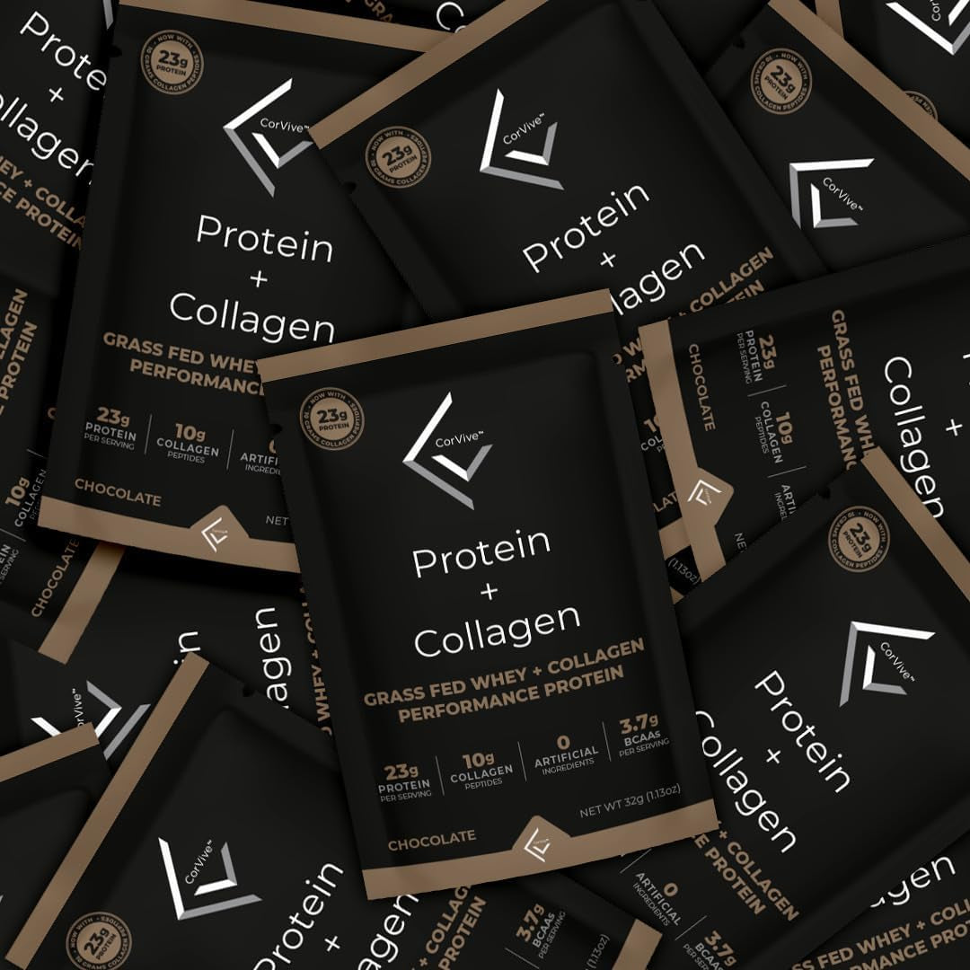 Corvive Protein + Collagen Chocolate Performance Protein | Grass Fed Whey + Collagen | 480 Grams (Pack of 15)