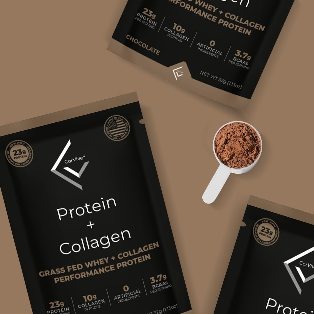 Corvive Protein + Collagen Chocolate Performance Protein | Grass Fed Whey + Collagen | 480 Grams (Pack of 15)