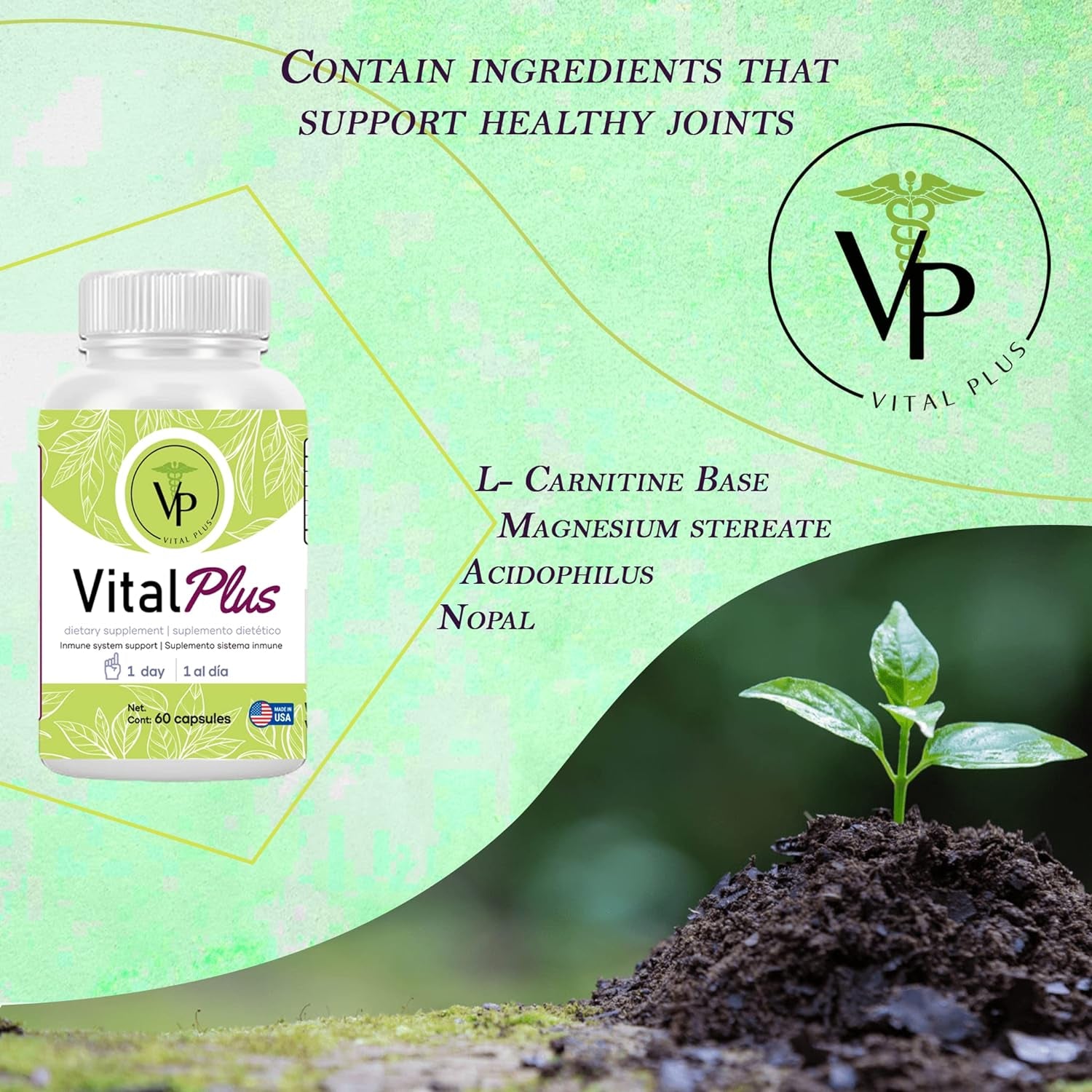 Vital plus - Treatment for Varicose Veins and Support Joint Structure - Energy Supplement - 100% Organic 60 Capsules