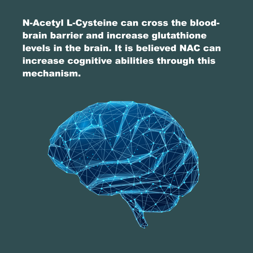 Lifelink'S NAC (N-Acetyl L-Cysteine) | 600 Mg X 120 Capsules | Antioxidant, Anti-Aging, Immunity | Gluten Free & Non-Gmo | Made in the USA