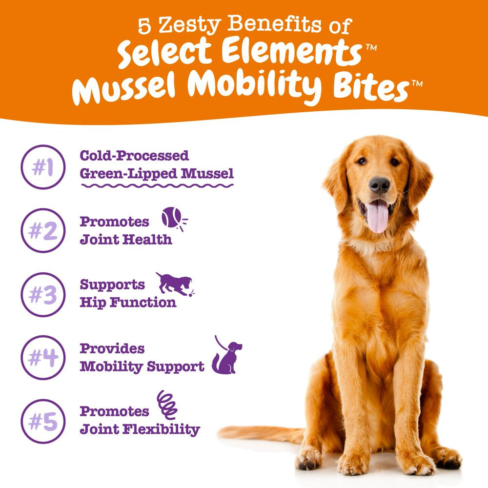 Zesty Paws Select Elements Mussel Hip & Joint Mobility Bites for Dogs, Glucosamine, Chondroitin, and Omega-3 Fatty Acids, Chicken Flavor, 90 Count Soft Chews