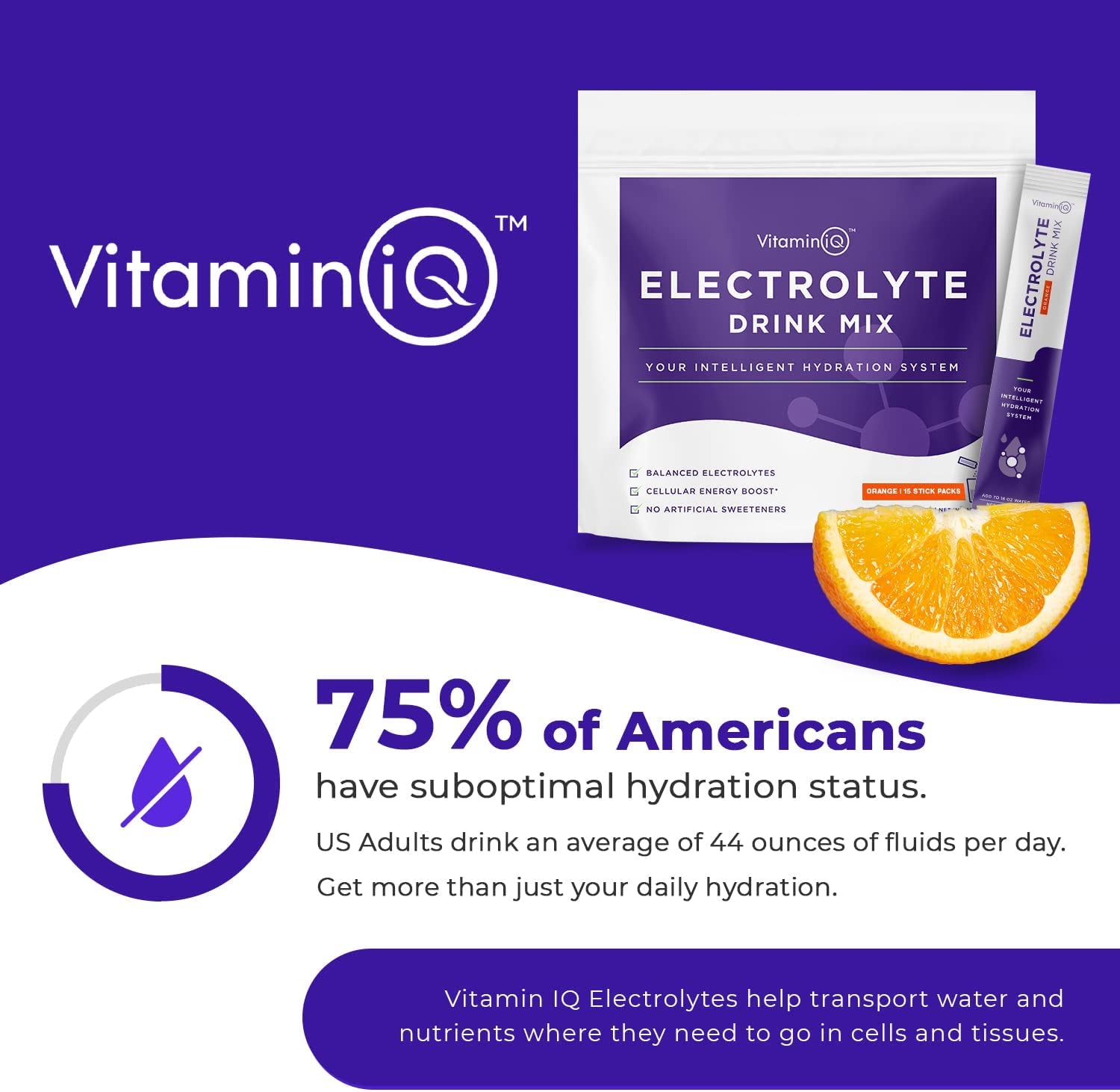 Vitaminiq Electrolytes Powder - 15 Sticks Electrolyte Powder Packets for Energy & Endurance - IV Hydration Multiplier Electrolyte Mix for Mental Clarity & Fluid Balance - IV Hydration Packets, Orange