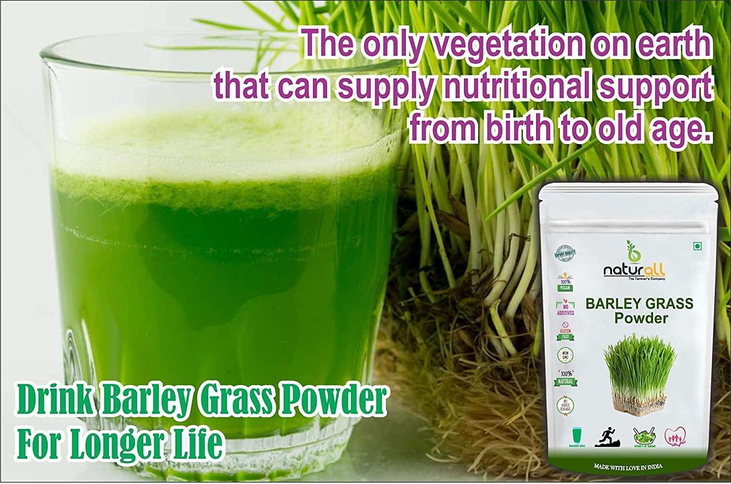 CROW SOYA Milk Powder | High in Protein | Vegan | Non-Gmo - 200 GM by B Naturall