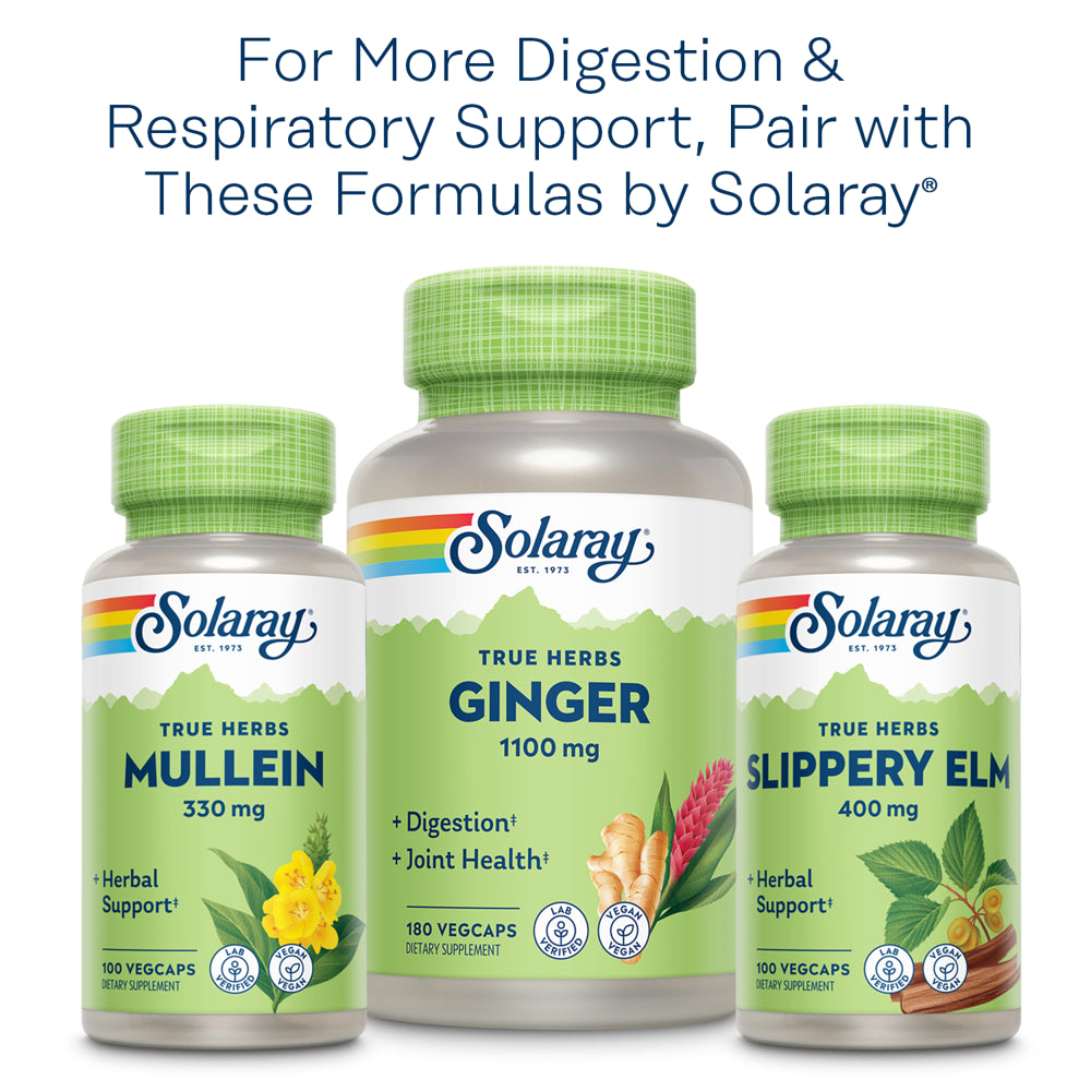 Solaray Marshmallow Root, Healthy Respiratory Function & Digestion Support, Non-Gmo & Vegan | 100 Vegcaps