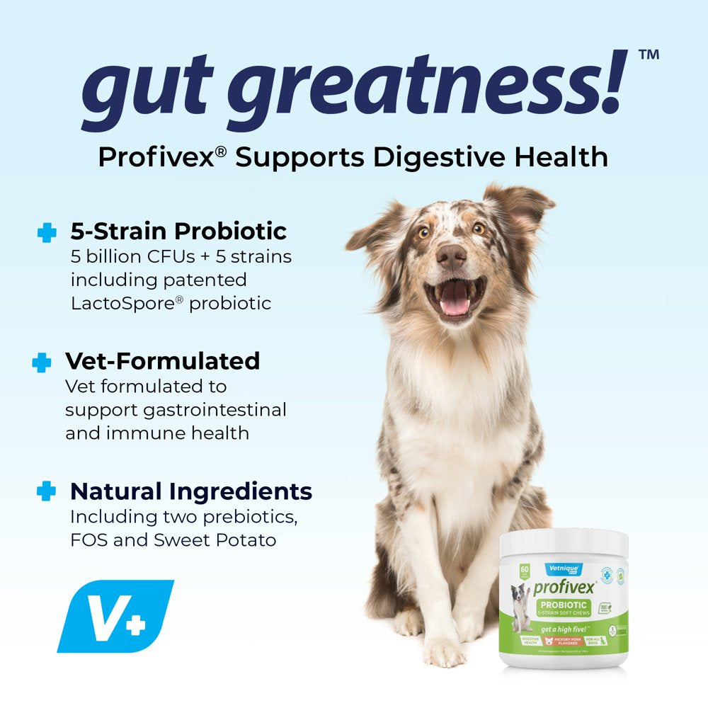 Vetnique Labs Profivex Probiotics Supplement for Dogs Soft Chews Daily Chewable Digestive Treats with Prebiotics - 60 Ct Pork Liver Flavor