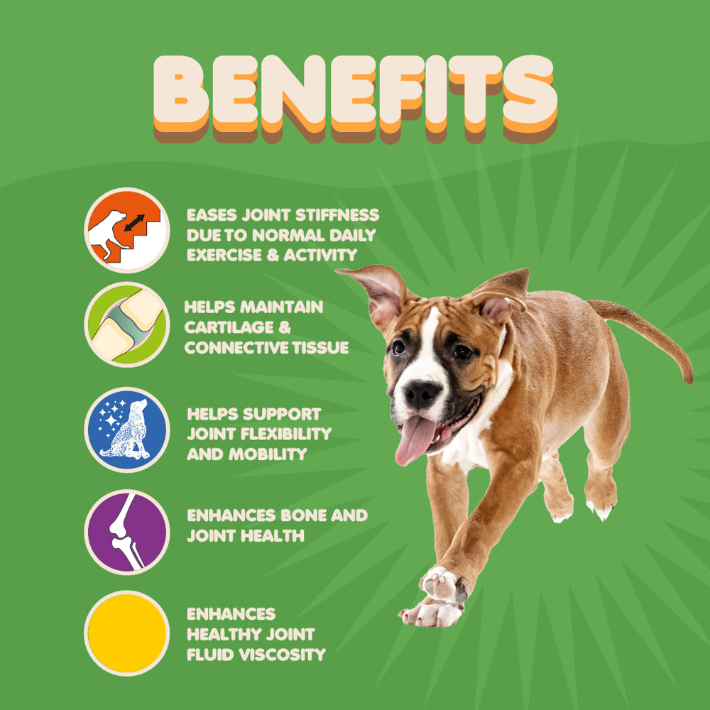 Joint Support Supplement for Dogs and Cats-Bacon Flavor Chewables with Collagen Concentrate and Vitamin C to Help Increase Joints Health, Mobility, Elasticity and Flexibility - 60 Flavored Tablets