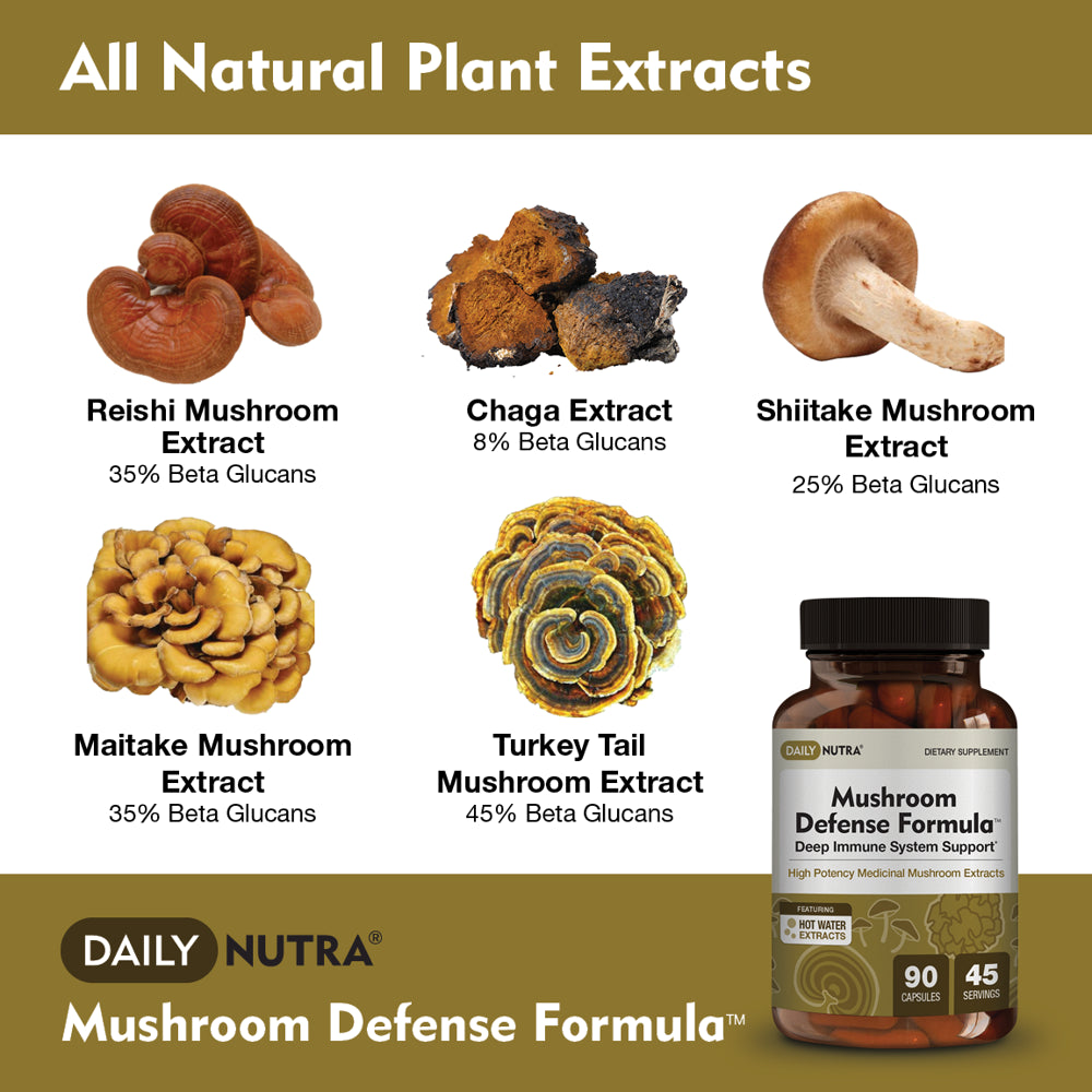 Mushroom Defense Formula by Dailynutra - Immune Support Supplement | Organic Mushrooms, Hot Water Extracted - Reishi, Chaga, Maitake, Shiitake & Turkey Tail (90 Capsules)