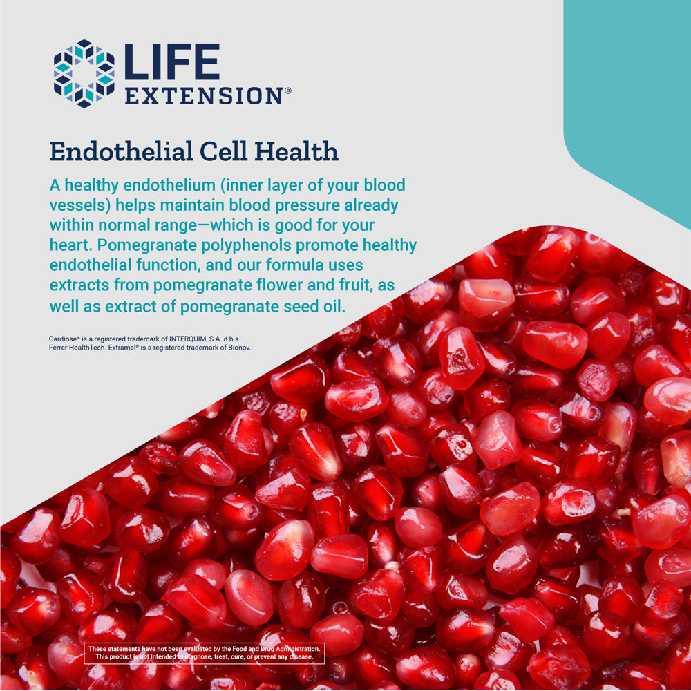 Life Extension Endothelial Defense™ Pomegranate plus - Heart Health Support Starts with Your Blood Vessels - Gluten-Free, Non-Gmo - 60 Softgels