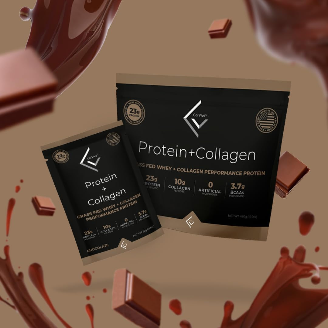 Corvive Protein + Collagen Chocolate Performance Protein | Grass Fed Whey + Collagen | 480 Grams (Pack of 15)